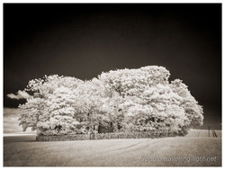 Cruggleton Church, Galloway